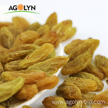 AGOLYN Natural Green Raisin Sun Dried Raisin